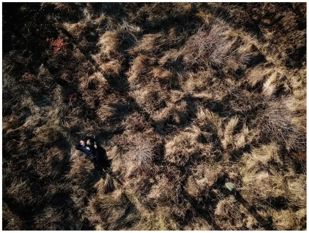 Vue aérienne d’un couple enlacé au milieu d’une lande aux herbes brunes.