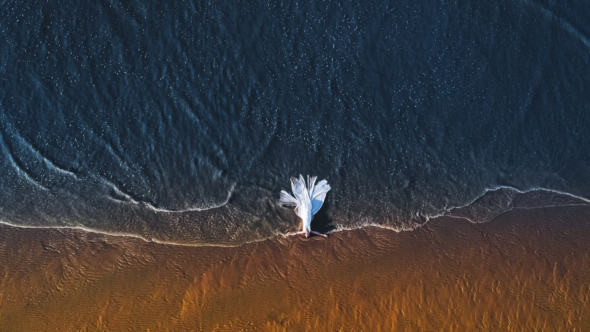 Vue aérienne d'une mariée en robe blanche marchant au bord de la mer.