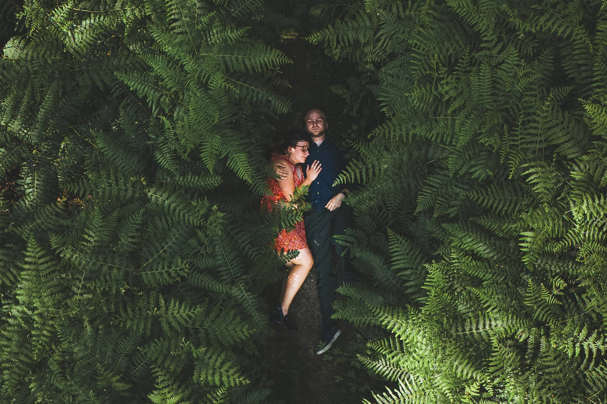Couple allongé et enlacé au milieu de grandes fougères vertes, vu depuis le ciel.